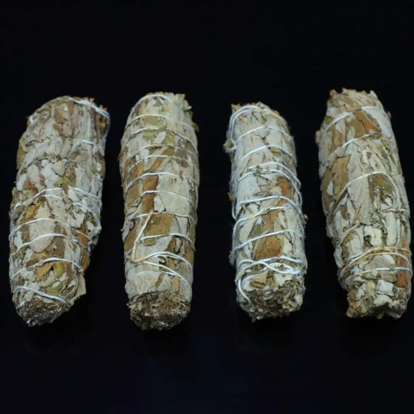 Indian Sage pack of 4(Spiritual & Meditation)