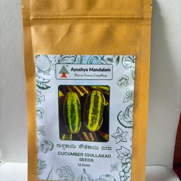 Cucumber Green Long (Traditional Desi Seeds) 12 Gms