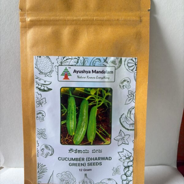 Cucumber - Dharwad Green (Traditional Desi Seeds) 12 Gms