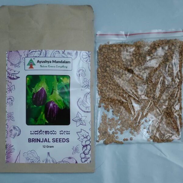 Brinjal AAT-2 (Traditional Desi Seeds) 12 Gms