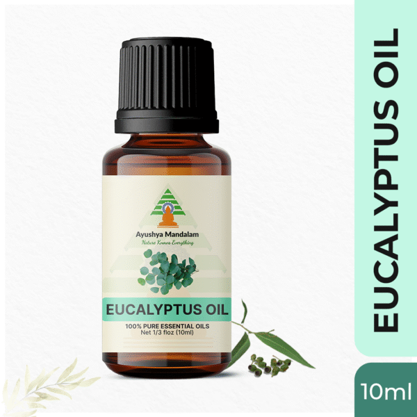 Eucalyptus Oil 10ml