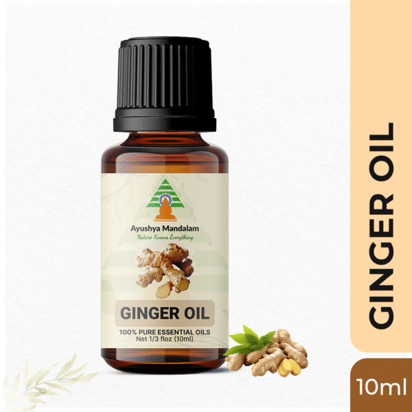 Ginger Oil 10ml