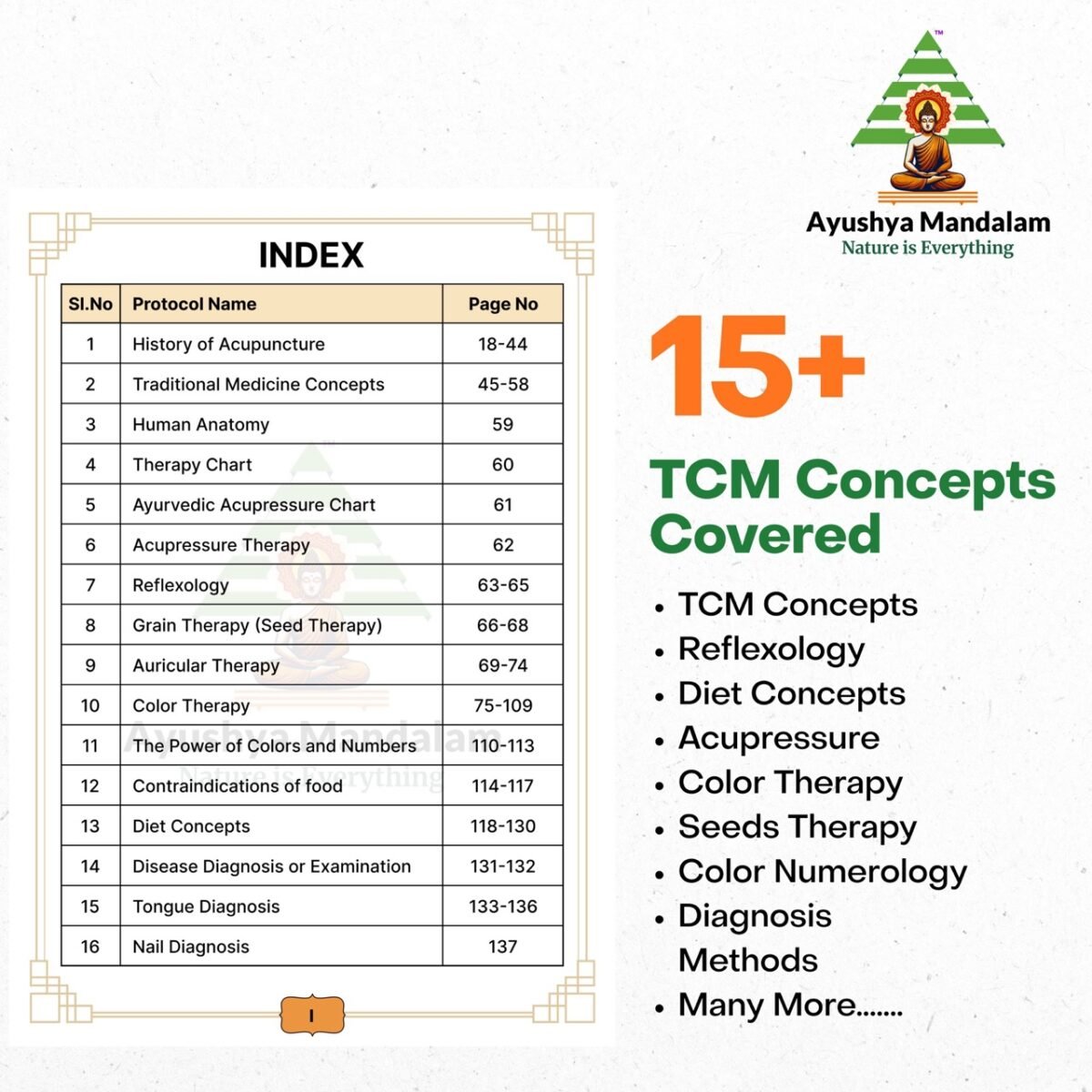 Drugless Kingdom Pocket Sanjeevini - Image 3