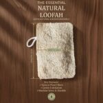 Natural Luffa Sponge (Loofah) – Eco-Friendly Body Exfoliator