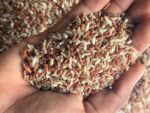 Rathna Nagara Rice | Ratna Chodi Rice | Traditional Healthy Rice - Image 3