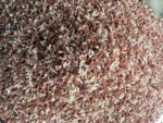 Rathna Nagara Rice | Ratna Chodi Rice | Traditional Healthy Rice - Image 2