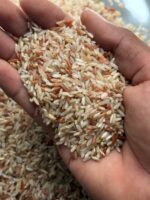 Salem Sanna Rice | Traditional Tamil Nadu Heritage Rice - Image 3