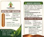 Copper Bullets – To Enhance Your Drinking Water! - Image 3